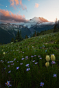 Photograph The Evening&#x;27s Last Light by David Thompson on 500px