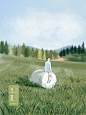 24节气——夏季插画 Ju(julin插画师）季节插画