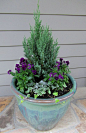 Add some winter color with tips on container gardens from Scotts Miracle Gro. Remember the "three shape rule.": 