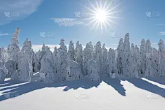美丽的冬季自然景观，令人惊叹的山景。森林风景。滑雪胜地有霜冻的一天。圣诞节，新年。优秀的冬季壁纸。探