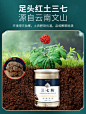 云南正宗三七粉正品官方旗舰店特级500g文山三七片田七超细三七头