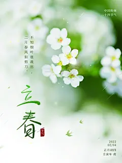 立春日春雨绵绵二十四节气立春海报展板