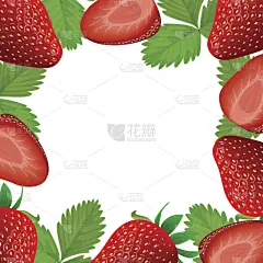 贺卡,草莓,矢量,边框,无人,多色的,白色背景,中心,香波,香水