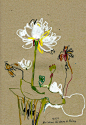 其中包括图片：personal works & inspirations