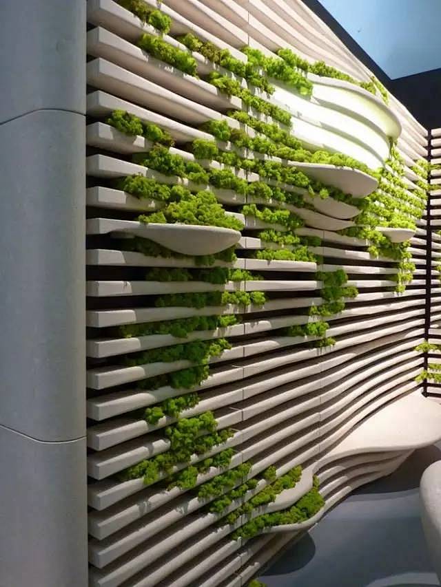 植物墙