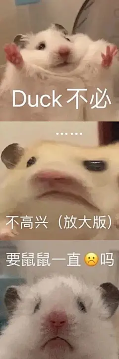鼠鼠表情包