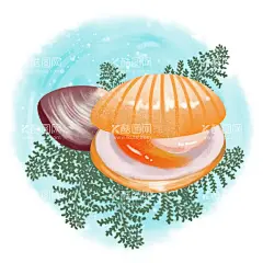 贝壳元素插画  - 源文件下载【酷图网】小清新素材,贝壳,装饰素材,贝壳素材,贝壳插画,贝壳装饰,手绘贝壳,扇贝,蚌壳,唯美贝壳,原创插画,卡通贝壳,贝壳组合,贝壳装饰素材,手绘素材