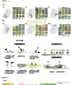 Alison_Lee采集到植物分析