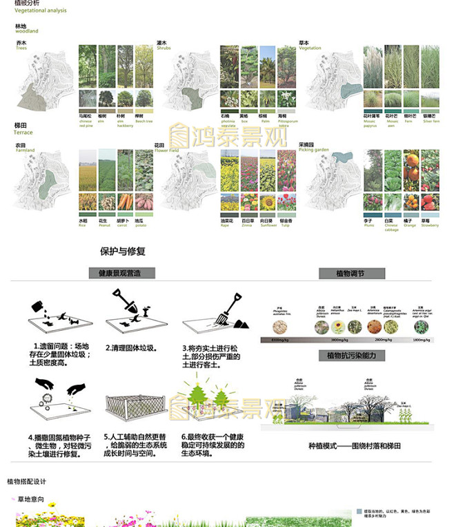 景观竞赛植物分析图psd素材植物专项种植...