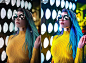 炫酷霓虹灯光人物城市摄影照片修图调色PS动作设计素材 Neon Portrait Photoshop Action插图3
