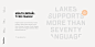 TT Lakes Font | Fontspring : TT Lakes, font by Typetype. TT Lakes can be purchased as a desktop and a web font.