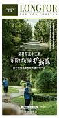 东北龙湖十三载【变与不变】系列