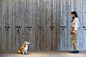 レジーナリゾート旧軽井沢 | Work | Kishino Shogo(6D)-木住野彰悟 : レジーナリゾート旧軽井沢のサインを担当しました。犬と一緒に泊まれるホテルということで、犬用のサインを提案しました。