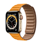 MY9D2_VW_34FR+watch-40-stainless-gold-cell-6s_VW_34FR_WF_CO (1400×1400)