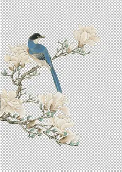 花鸟虫鱼中国风国画工笔画花枝小鸟透明背景1网设高清素材 透明 免费下载 页面网页 平面电商 创意素材