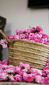 唯美摄影 绰约花之精灵