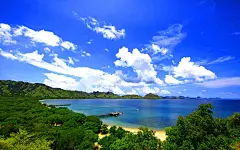 风景美图（可做桌面壁纸） - 彼岸桃花 - .