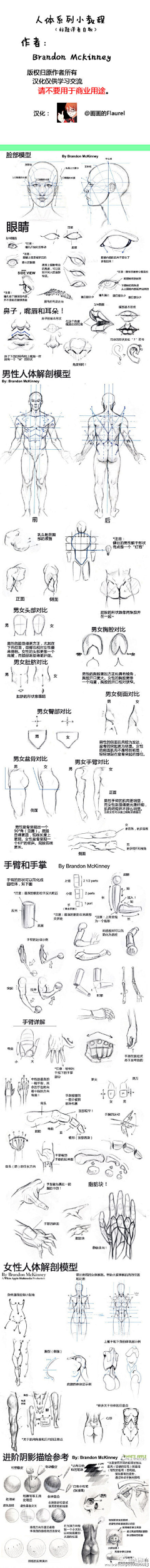 shenhao19采集到比例