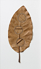 【 钩针编织树叶】Susanna Bauer 是一位德国艺术家，在自己的收集到的叶子上完成了惊叹的刺绣，叶片上的残缺被她小心翼翼的补齐。她探索了树叶自然元素的颜色和特性，然后进行大胆的想象和创新，最终的成品非常令人印象深刻。