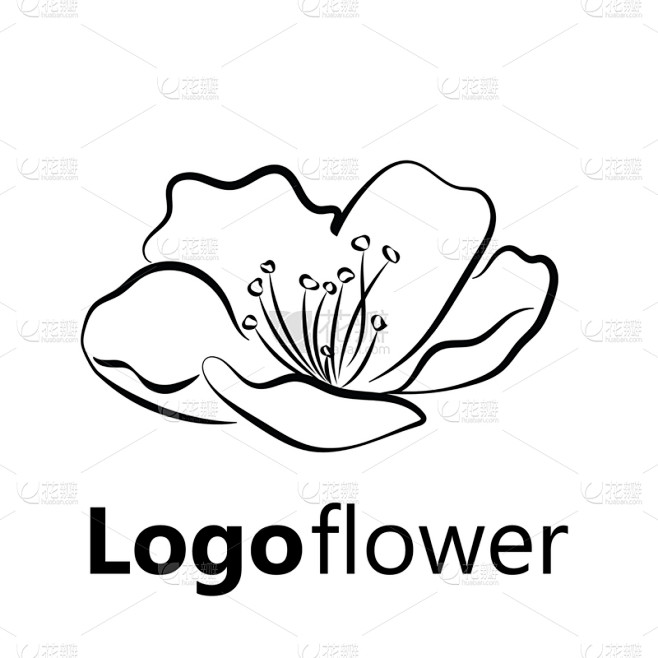 樱桃,枝,花蕾,樱之花,摆拍,自然美,品...