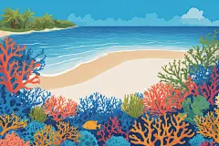 小鱼珊瑚海水小鱼海洋插画图片