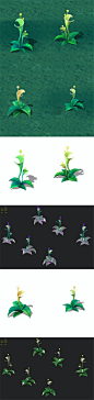 卡通版 - 植物神秘之光 - 3DOcean Item for Sale