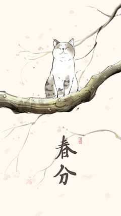 神妙喀利朵采集到cat 猫