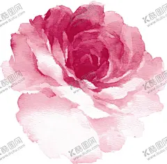 牡丹花 【酷图网】牡丹花,牡丹花素材,牡丹花元素,牡丹花背景,牡丹花底纹,牡丹花封面,牡丹花标志,牡丹,牡丹素材,牡丹元素,牡丹背景,牡丹海报,牡丹封面,牡丹工笔画,牡丹花工笔画,牡丹油画,牡丹花油画,牡丹花摄影,牡丹花剪影,金色牡丹,金色牡丹花,牡丹花花瓣,牡丹花瓣,牡丹剪影,国画牡丹,牡丹花国画