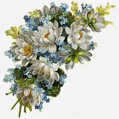 手绘英伦风日常生活花朵图标 繁花 花朵 UI图标 设计图片 免费下载 页面网页 平面电商 创意素材