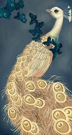 鸟绘本系列图集丨飞鸟绘画手绘作品精选