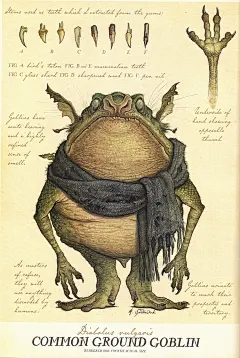 奇幻精灵事件簿  ·  Spiderwick Chronicles Wiki ​​​​
