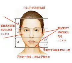 女生脸型分类图（如何分辨脸型） - 怪怪 - 怪~~乖的博客