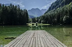 地球上美丽的自然风景森林树林壁纸图片