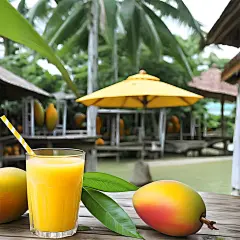 奶茶果汁高清图片