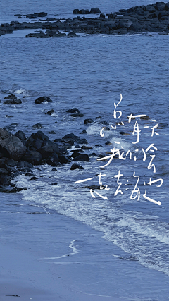dischen采集到字体