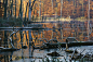 Autumn At The Lake