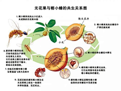 草莓西瓜汁采集到科学