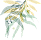 wb宝儿别摆烂-免扣素材-卡通-花卉植物00043