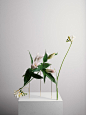 Carl Kleiner x Bloc Studios for ‘Posture Vases’ | Trendland : For the next part of ‘Posture’ series, photographer Carl Kleiner collaborated with Carrara-based Bloc Studios to create these beautiful ‘Posture Vases’. Arranged like Ikebana, the upside down f