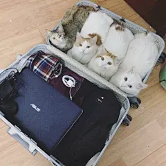 一起来配词....... ​​​​