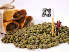 复古风的呼吸采集到学习