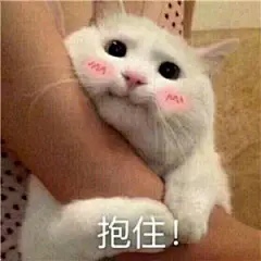 冷酷喵表情包_冷酷喵表情包下载_冷酷喵动态gif表情图-4399聊天表情包大全