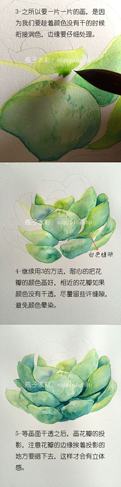 买筐桃子送鸭子采集到水彩彩铅画