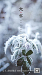 大雪