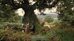 (38 封私信 / 84 条消息) 有没有电影里面画面唯美可以当作壁纸的？ - 知乎