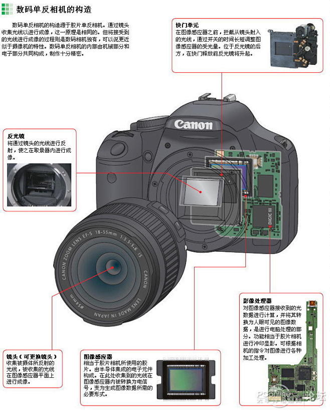 佳能单反相机全教程：相机的组成 - 理睬...