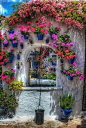 古牌坊满布了美丽的花，科尔多瓦，西班牙