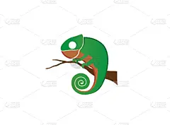 品牌名称,变色龙,创造力,分离着色,可爱的,白色,鸡尾酒,自然,动物园,热带雨林