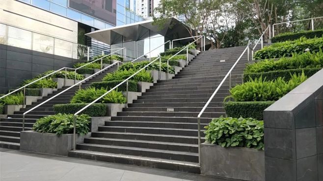 【上讲堂T SEMINAR】周四种植日 ...