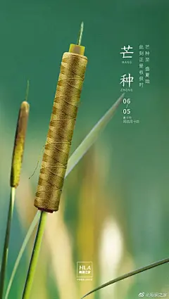 教师节、中秋节，国庆节海报，你只会插画风格能行？ - 广告狂人